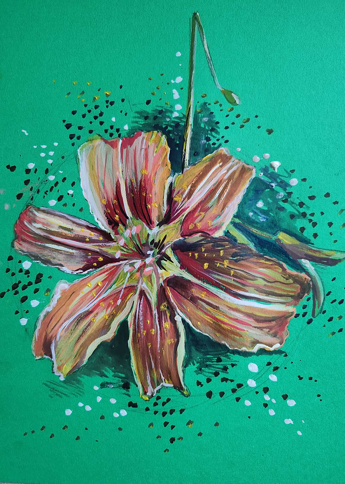 Tiger Lilly
