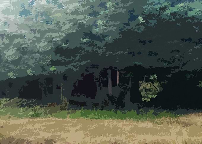 Overgrown Building in Forest DG9