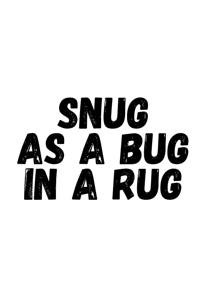 Snug as a bug in a rug