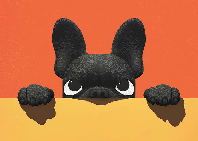 Peeking French Bulldog