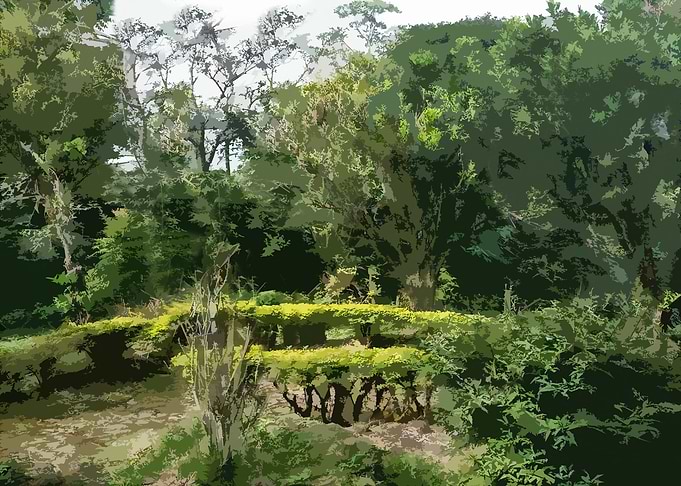 Lush Green Forest Landscape Painting DG5