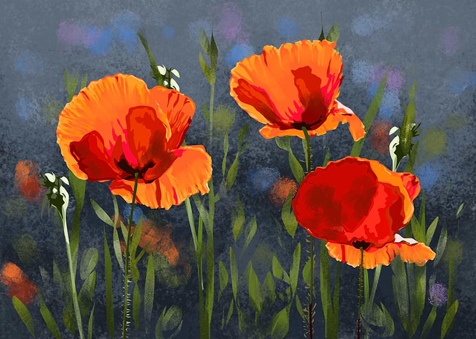 Poppy Flowers Painting