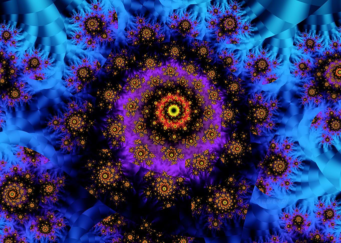 'Anatomy of a Flower' Fractal Art