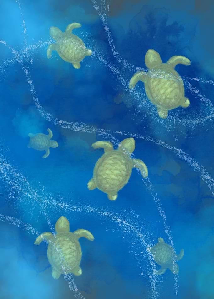 Sea Turtles in Blue Water