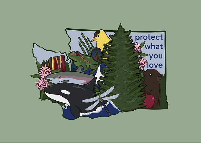 Washington State Symbols