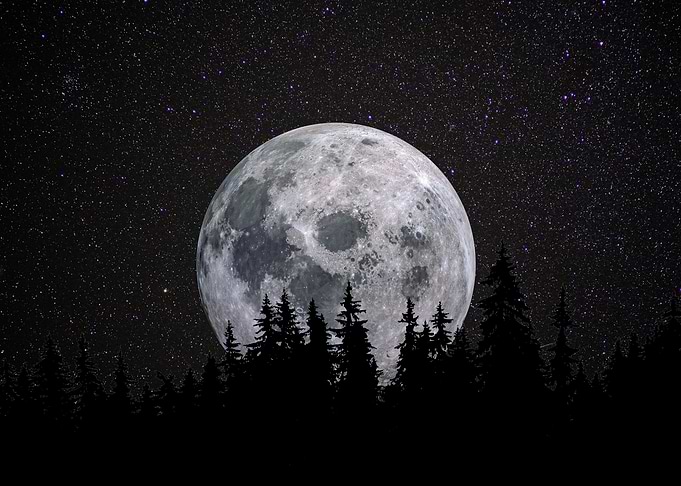 Full Moon Night Forest View