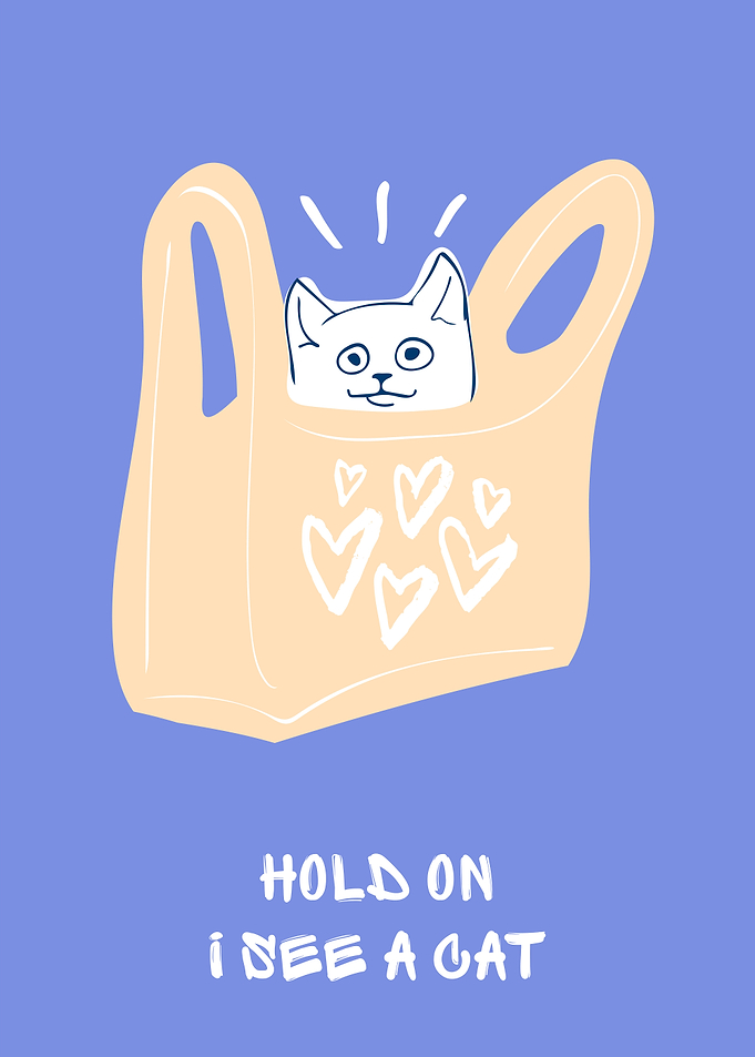 Cute Cat in Bag Funny Illustration