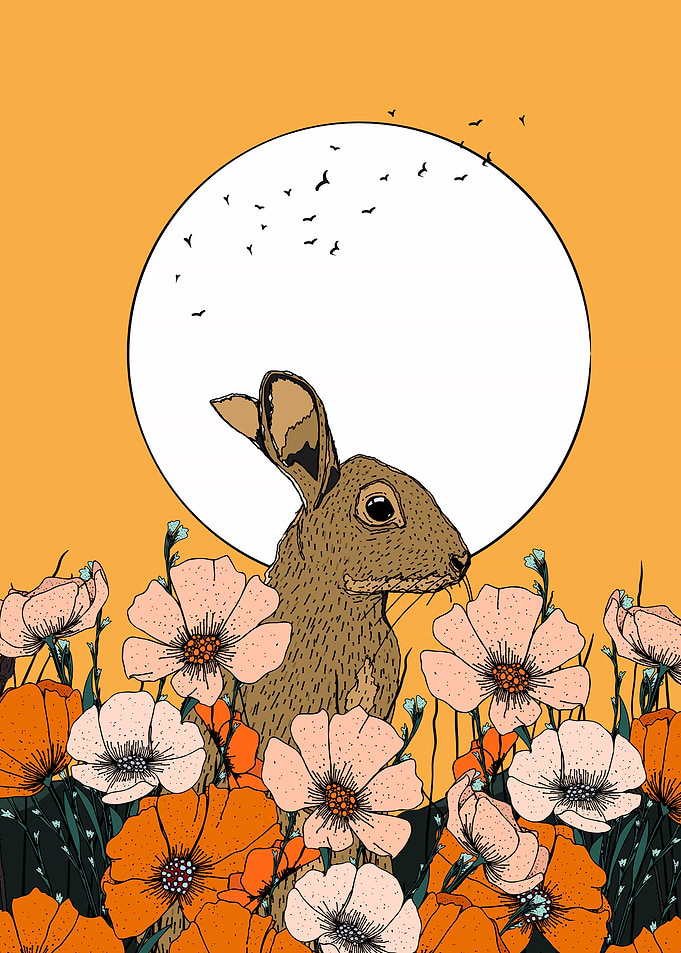 Rabbit in a field of flowers