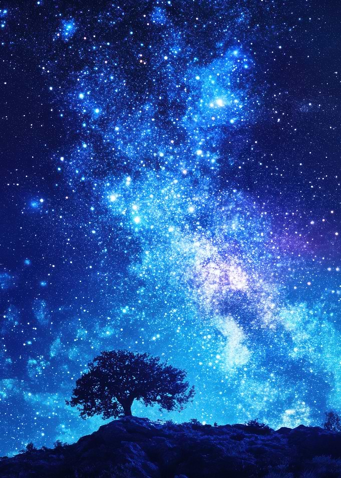 Galaxy Starry Night Tree Silhouette