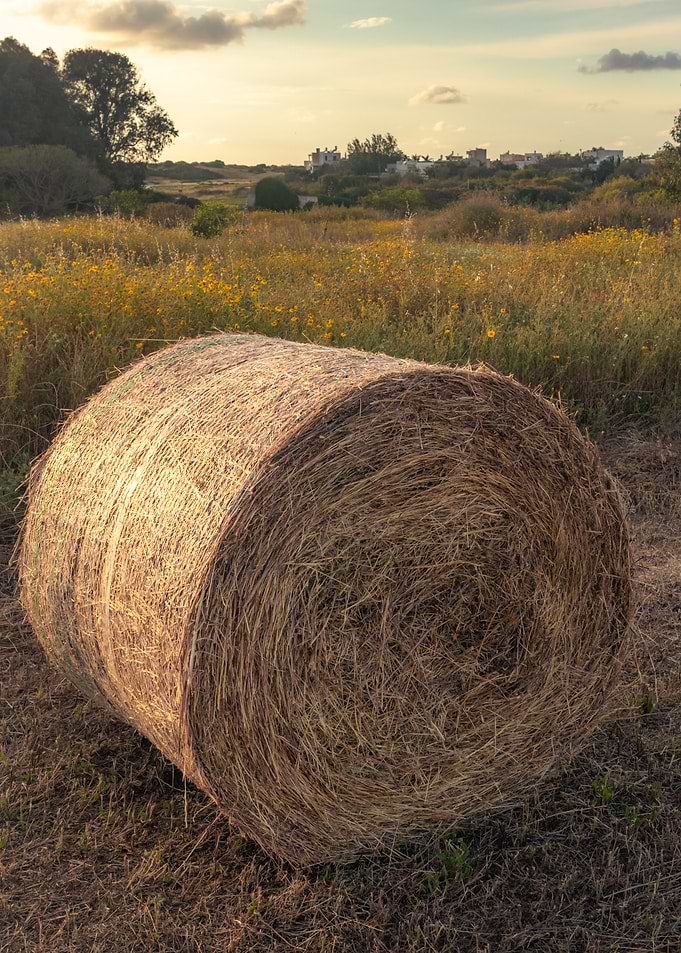 Hay Bale in Field at Sunset