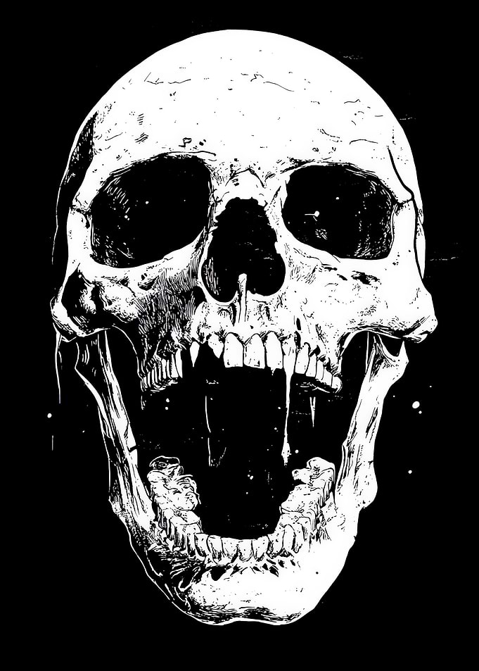 Monochrome Skull Illustration