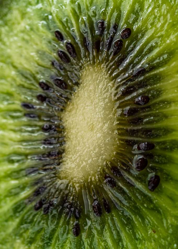 Kiwi Fruit Slice Macro