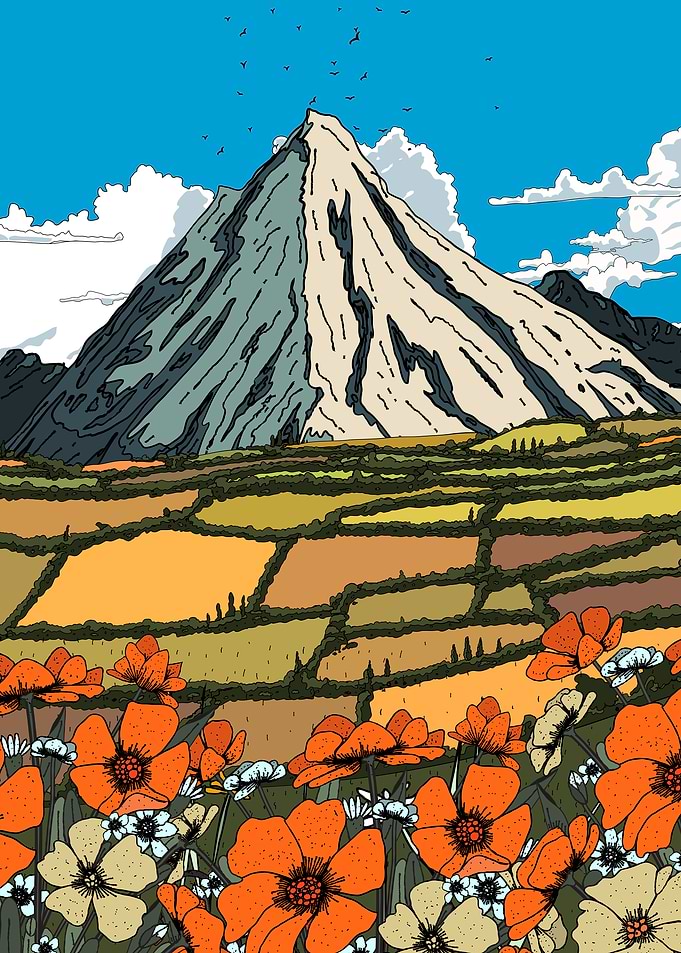 Mountain Landscape with Flowers and Fields