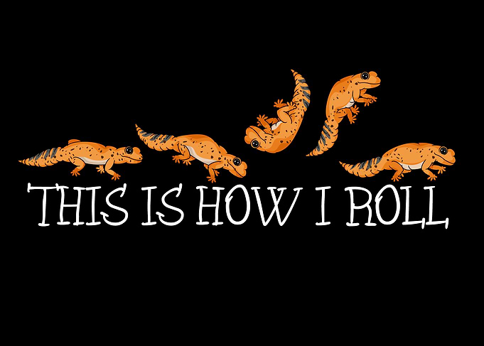 Leopard Gecko How I Roll Gift Kids Leopard Gecko