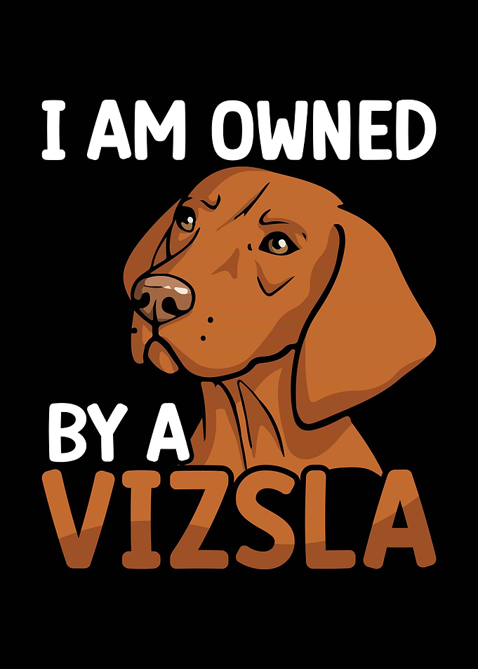 I am owned by a Vizsla