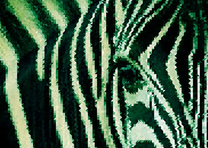 Abstract Zebra in Green
