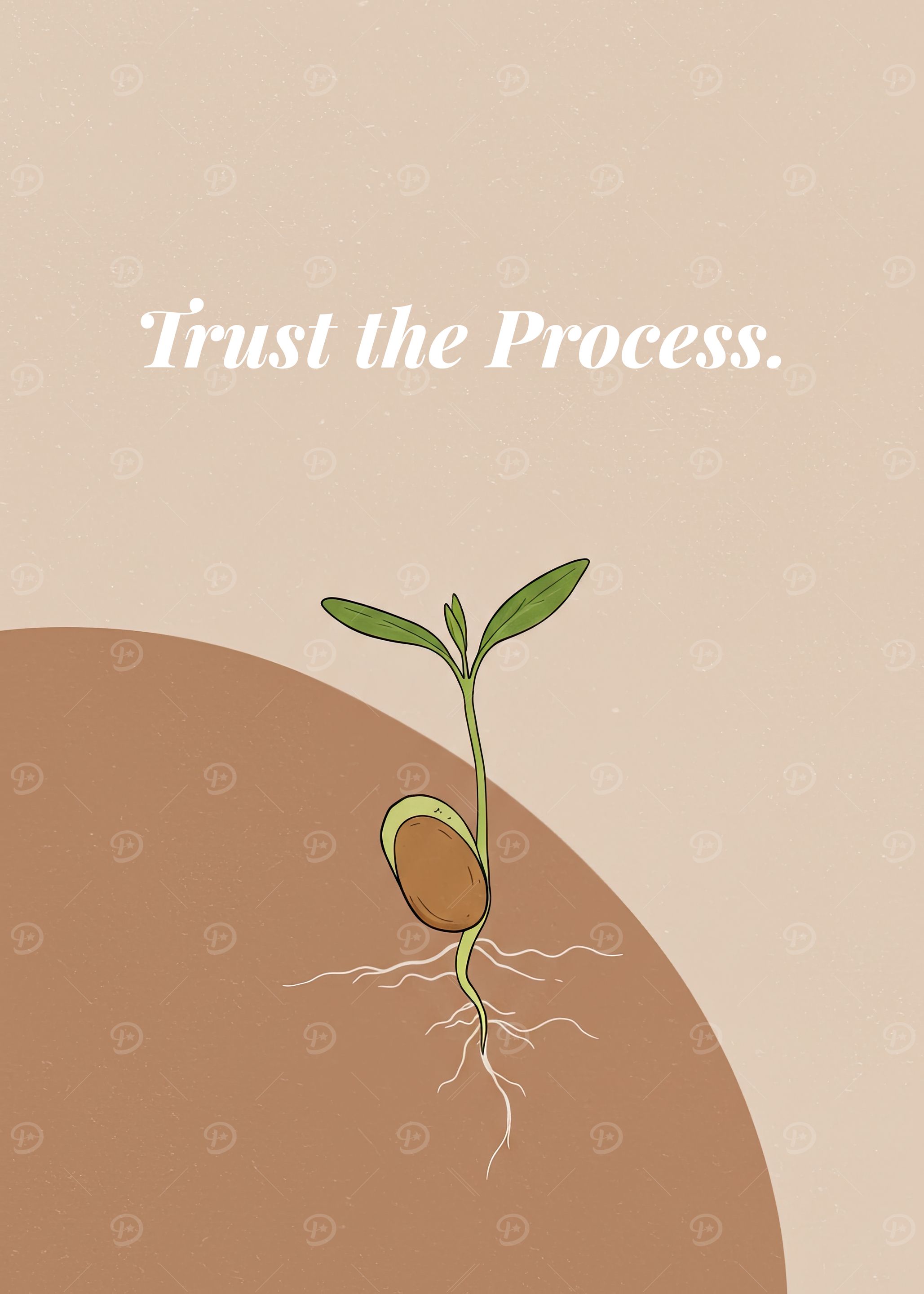 Trust the Process