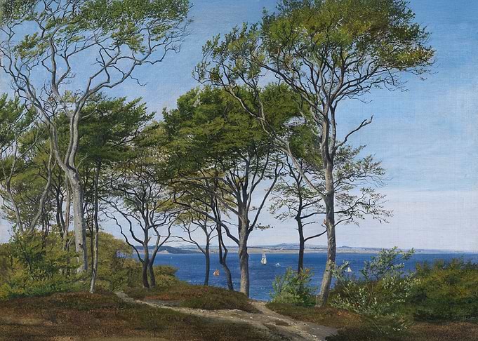 View Through Beech Trees Across a Fiord