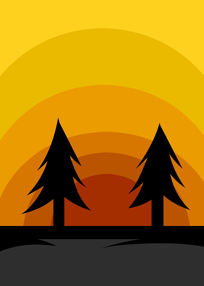 Sunset Silhouette Trees Landscape