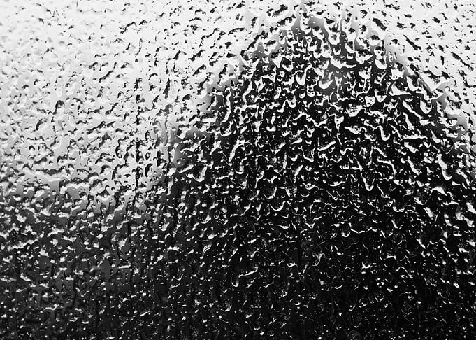 Water Droplets Projected on Tree