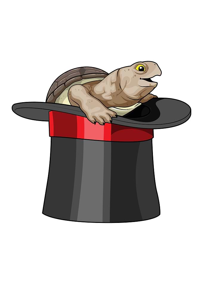 Turtle Wizard Top hat