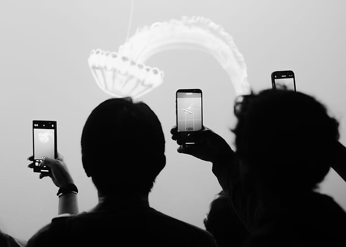 Jellyfish Photography in Black and White