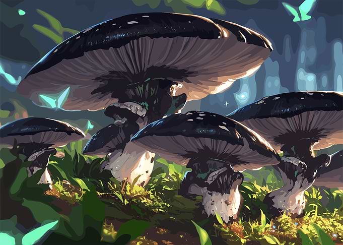 Enchanted Mushroom Grove