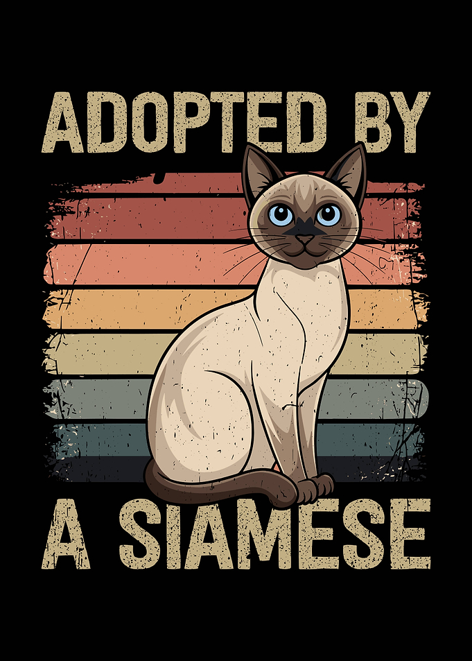 Adopted by a Siamese Cat