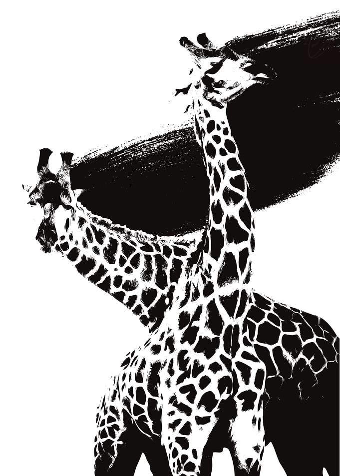 The Giraffes