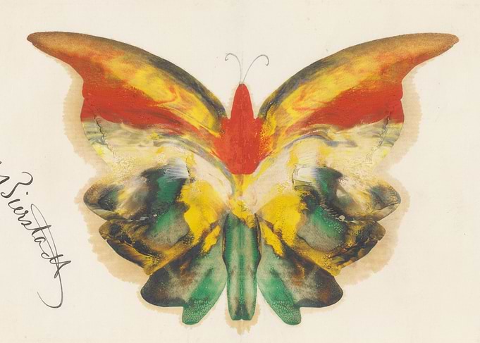 Colorful Butterfly Painting