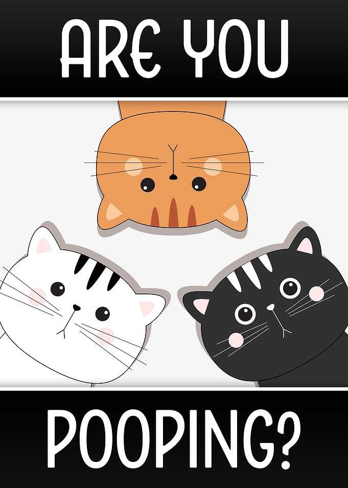 Are You Pooping? Cute Cats Looking.