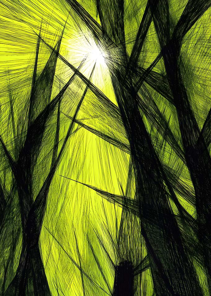Abstract Trees with Sunlight