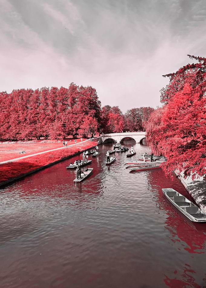 Crimson Serenity by the River