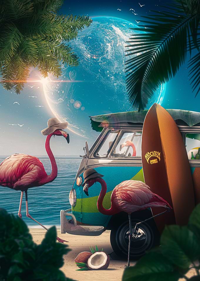 Flamingos, Van, and Beach Paradise