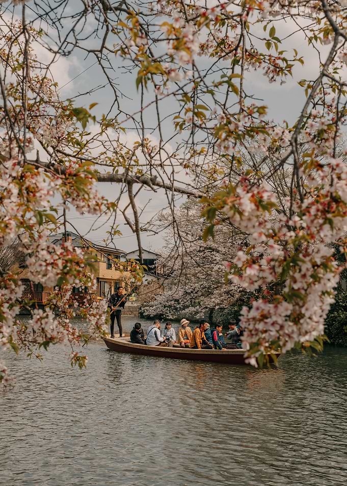 Boat ride under cherry blossoms in Yanagawa, Japan
