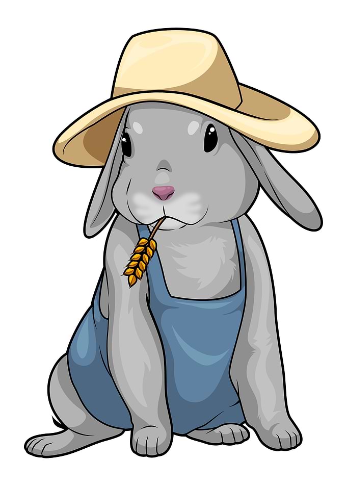 Rabbit Farmer Grain