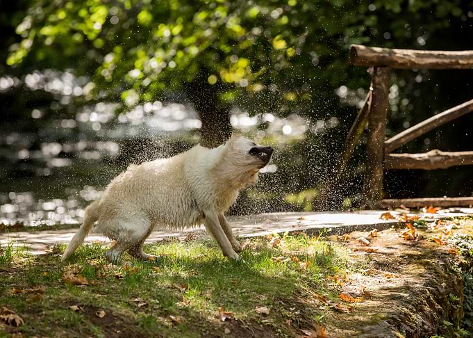 Morning bath
