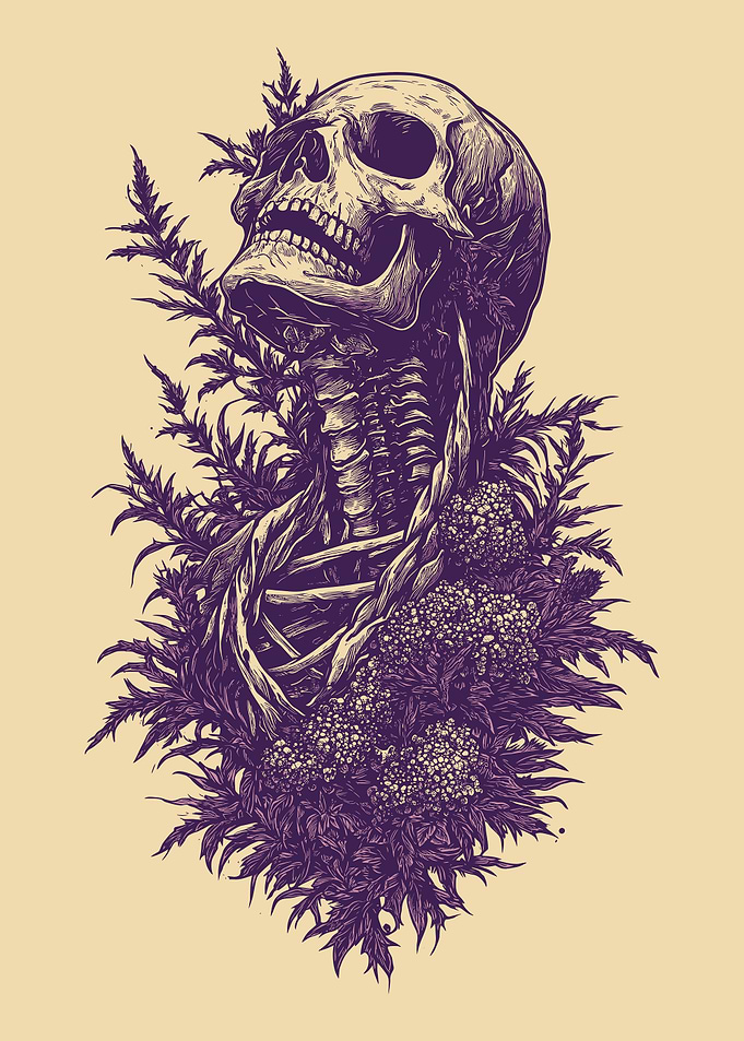 Skull and Flora Illustration