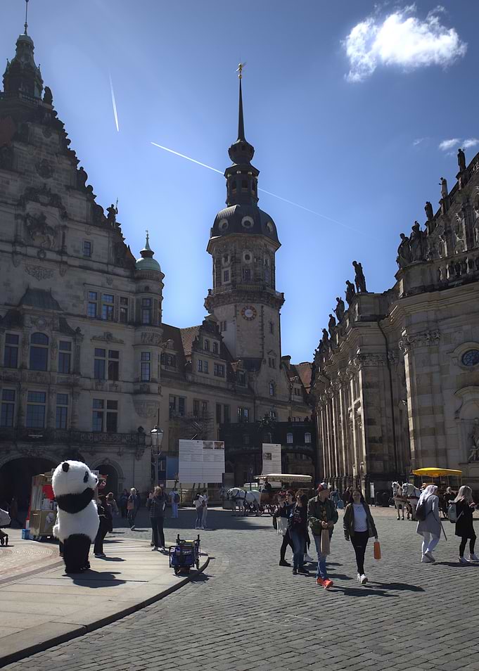Dresden cityscape with panda mascot