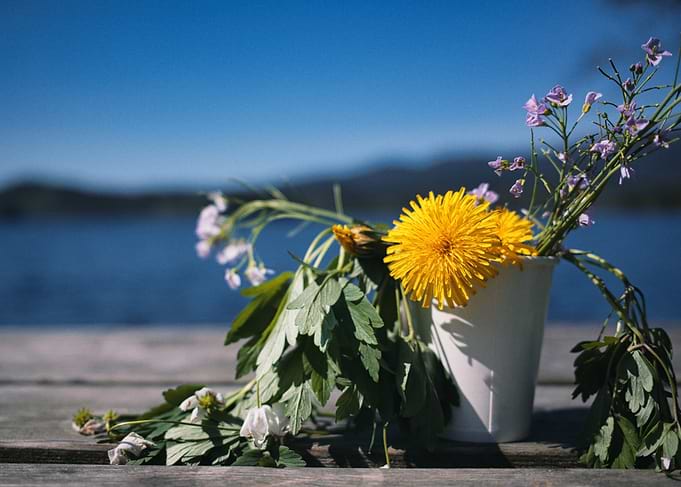 Just a bouquet of flowers left here