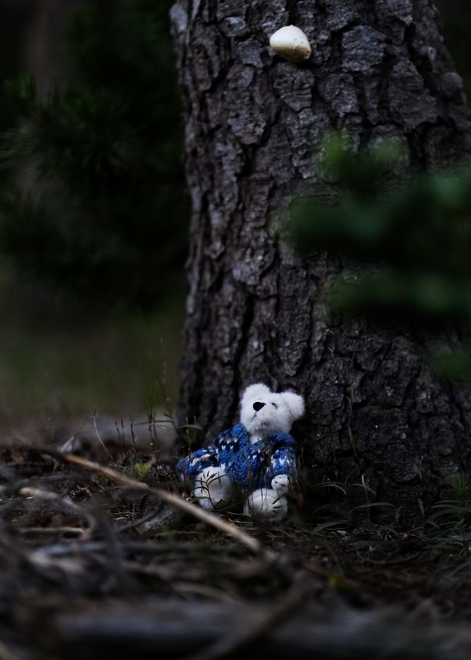 Bert under the tree
