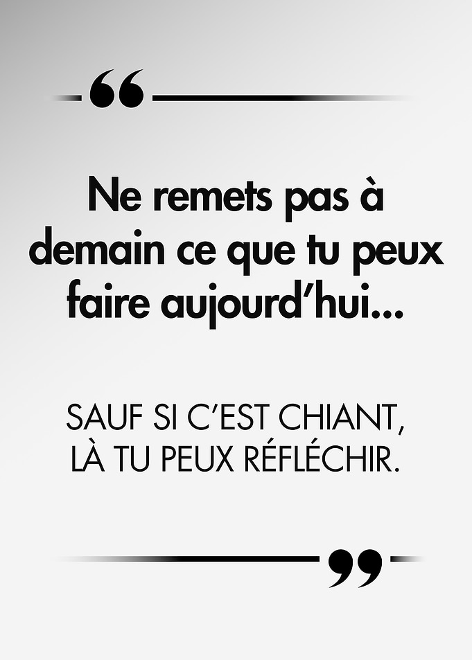 Funny French Inspirational Quote Poster