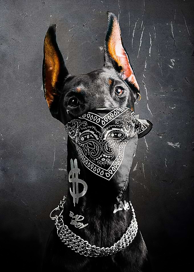 BAD DOGG: Loyalty Ain’t Cheap