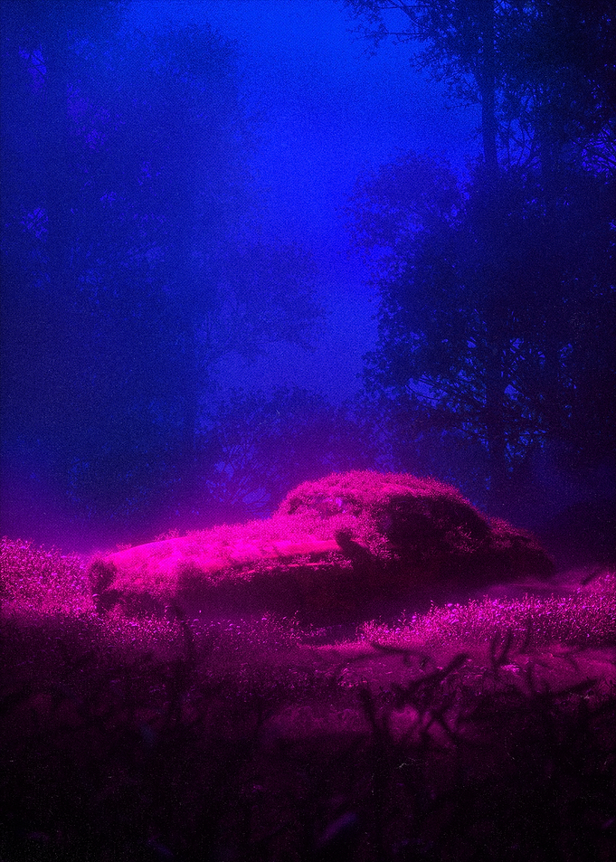 Dreamlike