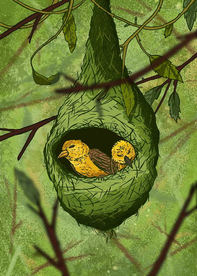 Hanging Bird Nest