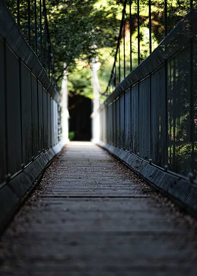Suspension Bridge Path Through Greenery