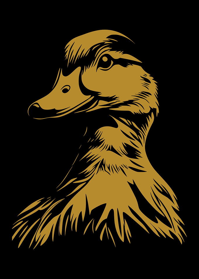 Duck Portrait in Gold on Black