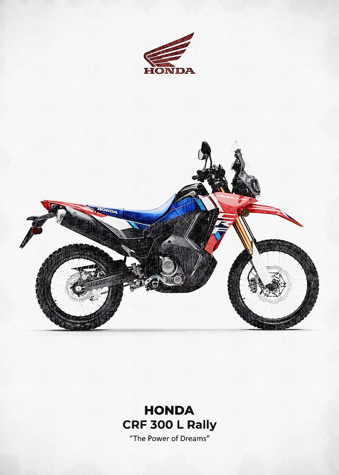 Honda CRF 300 L Rally Motorcycle