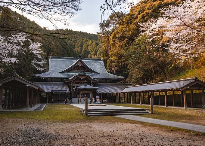 Japanese Temple with Cherry Blossoms