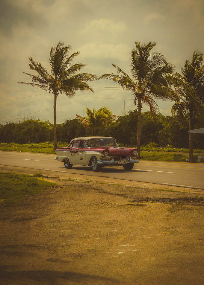 Vintage Car in Tropical Landscape